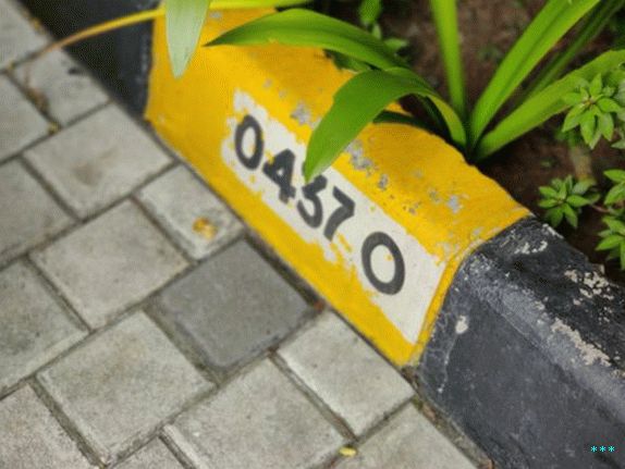 OnePlus 7T fotoaparat uzorak portretnog načina 4