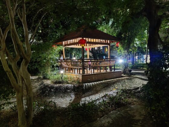 Noćna kamera OnePlus 8T (2) 