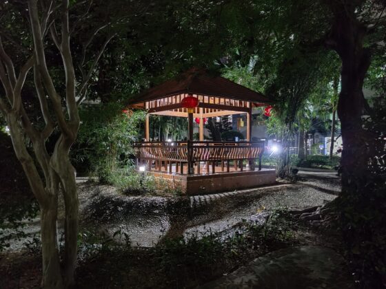 Noćna kamera OnePlus 8T Pro (4) 