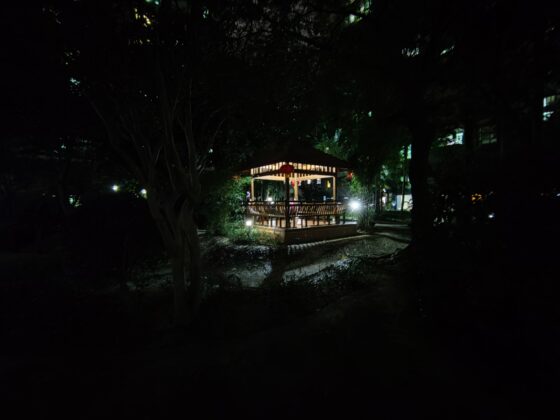 Širokokutna noćna noć OnePlus 8T (2) 