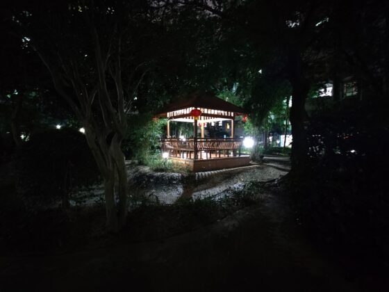 Širokokutna noćna noć OnePlus 8T Pro (3) 