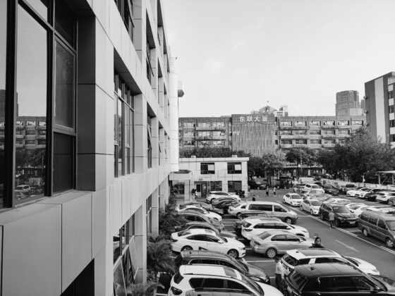 Jednobojni OnePlus 8T (2) 