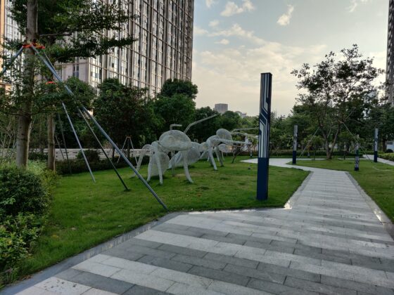 Kamera OnePlus 8T Pro (4) 